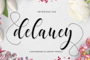 Delaney: The Modern Script Font That Elevates Campaign Visuals