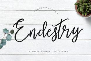 Endestry: The Modern Calligraphy Typeface That Elevates Campaigns