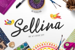 Ladylove: A Designer's Real-World Review